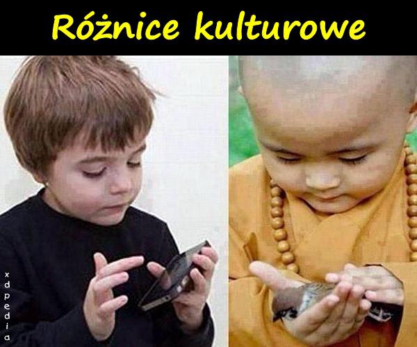 Różnice kulturowe