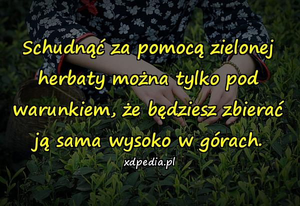 Schudnąć za pomocą zielonej herbaty można tylko pod