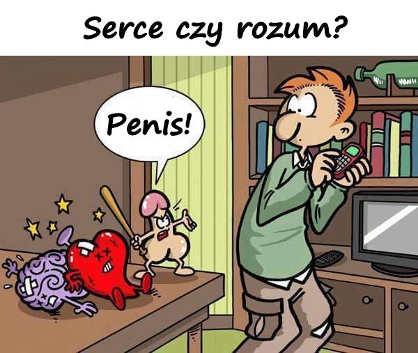 Serce czy rozum? Penis