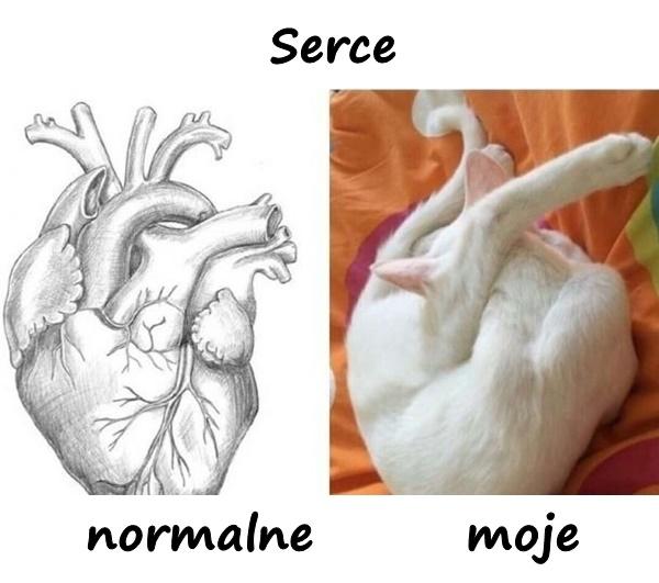 Serce - normalne vs. moje