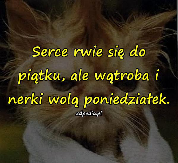 Serce rwie się do piątku, ale wątroba i nerki wolą