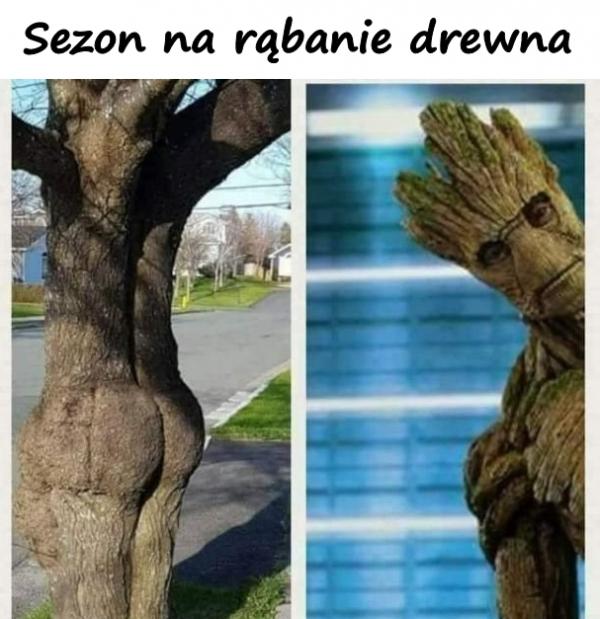 Sezon na rąbanie drewna