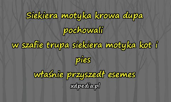 Siekiera motyka krowa dupa pochowali w szafie trupa