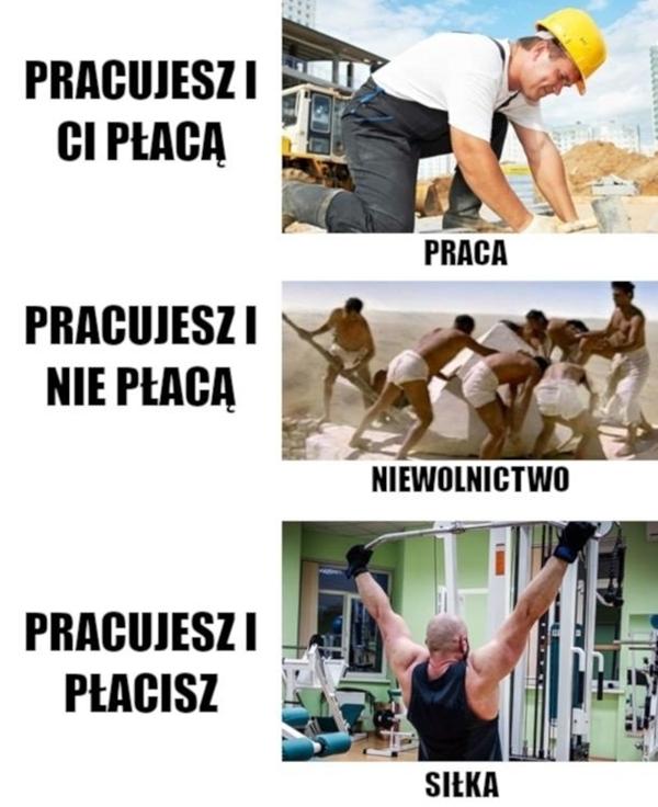 Siłka - pracujesz i płacisz