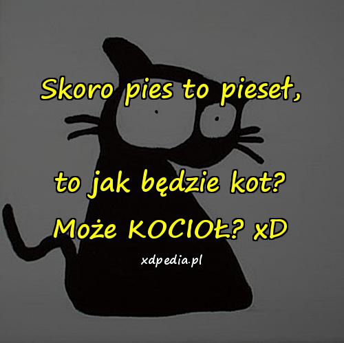 Skoro pies to pieseł, to jak będzie kot? Może KOCIOŁ? xD