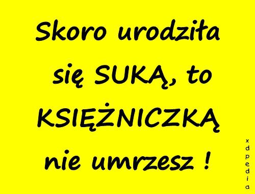 Skoro urodziła się SUKĄ, to KSIĘŻNICZKĄ nie umrzesz