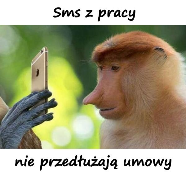 Sms z pracy, nie przedłużają umowy