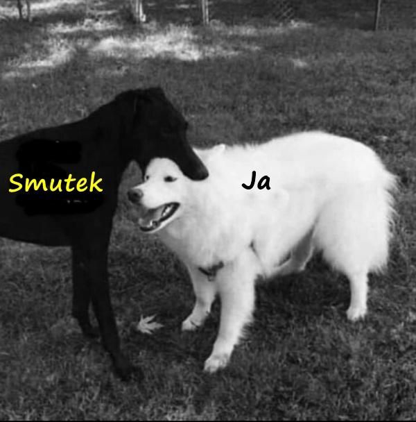 Smutek