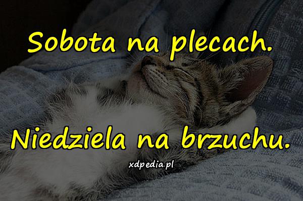 Sobota na plecach. Niedziela na brzuchu