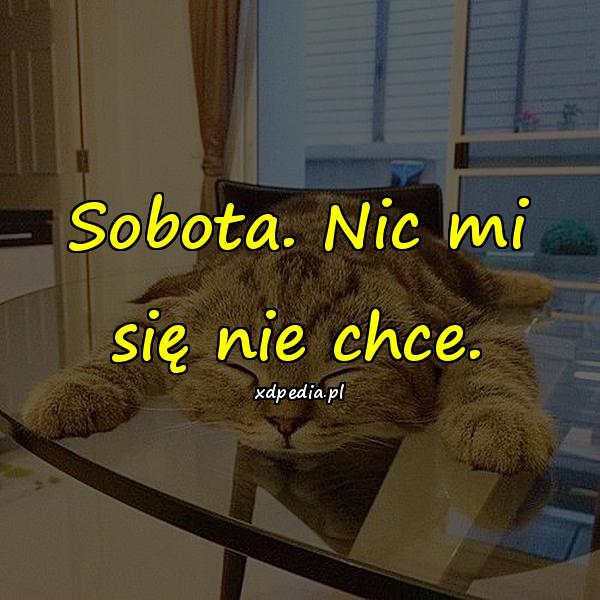 Sobota. Nic mi się nie chce