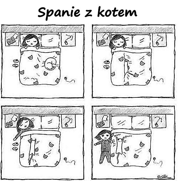 Spanie z kotem