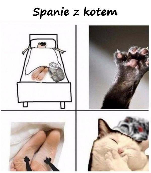 Spanie z kotem