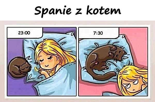 Spanie z kotem