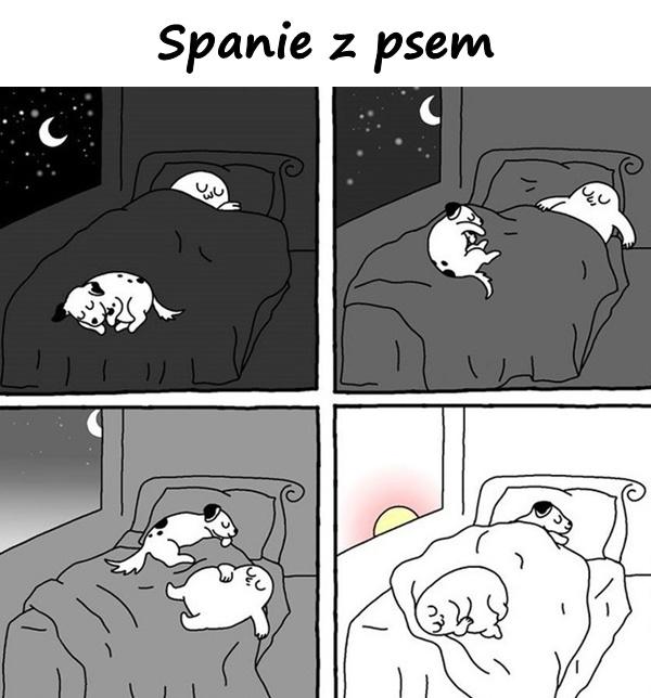 Spanie z psem