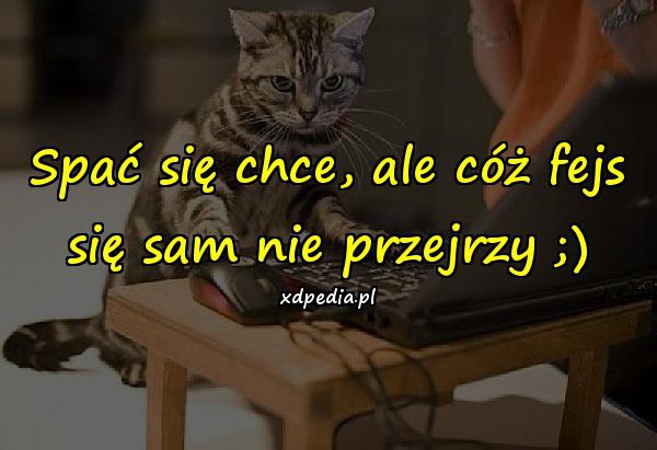 Spać się chce, ale cóż fejs się sam nie przejrzy