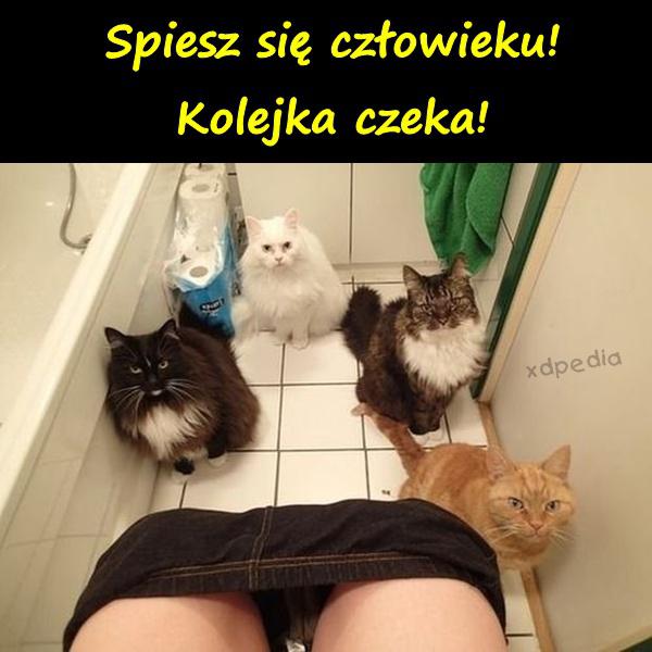 Spiesz się człowieku! Kolejka czeka