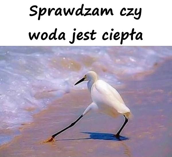 Sprawdzam czy woda jest ciepła
