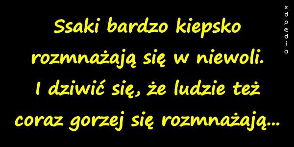 Ssaki bardzo kiepsko rozmnażają się w niewoli. I dziwić