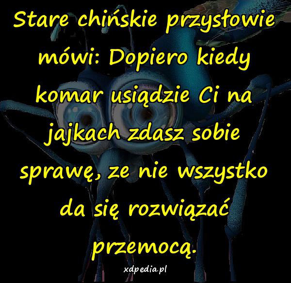 Stare chińskie przysłowie mówi: Dopiero kiedy komar