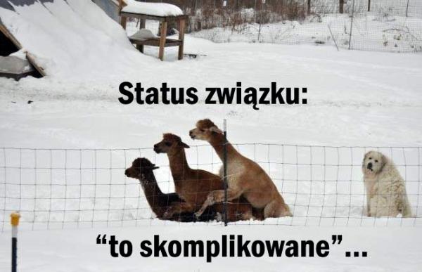 Status związku: to skomplikowane