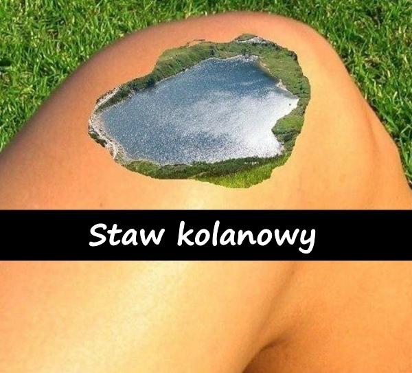 Staw kolanowy