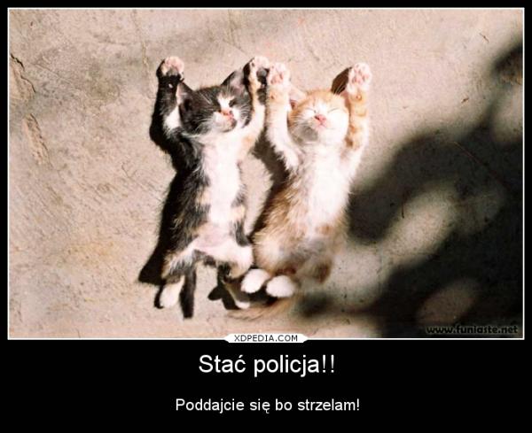 Stać policja!! Poddajcie się bo strzelam