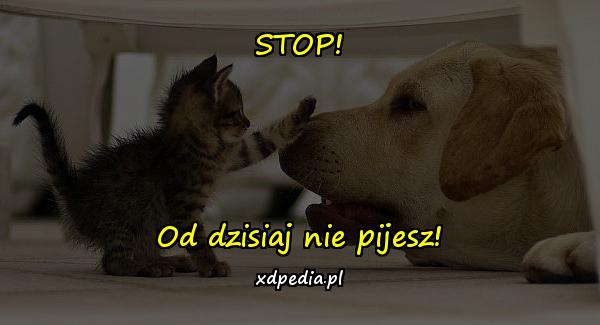 STOP! Od dzisiaj nie pijesz