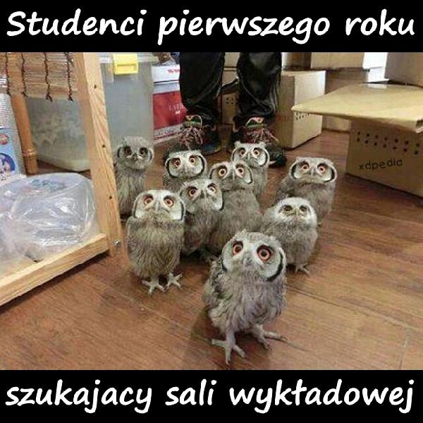 Studenci pierwszego roku szukajacy sali wykładowej