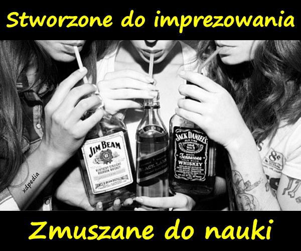 Stworzone do imprezowania! Zmuszane do nauki