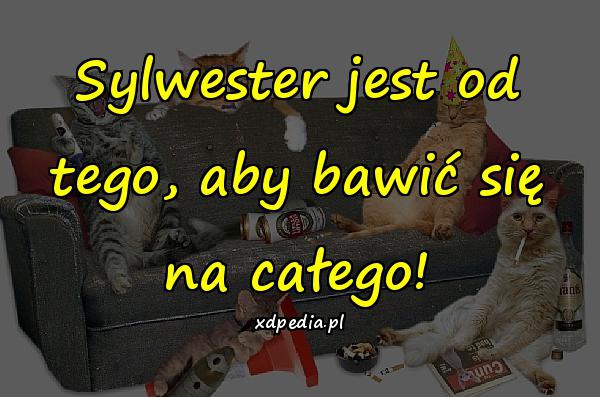 Sylwester jest od tego, aby bawić się na całego