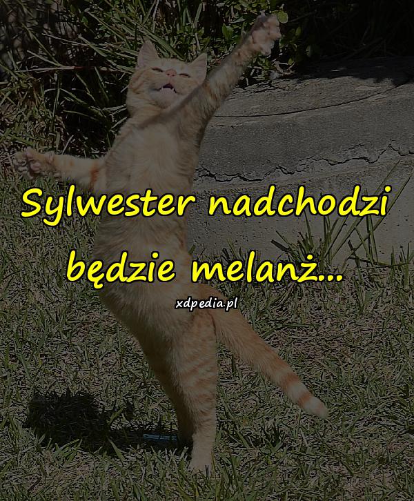 Sylwester nadchodzi będzie melanż