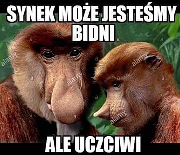 Synek może jesteśmy bidni, ale uczciwi