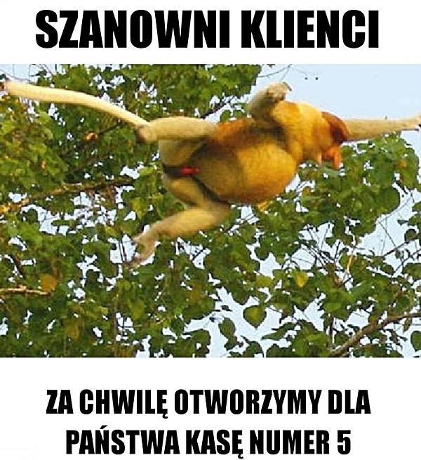 Szanowni klienci za chwilę otworzymy dla państwa kasę numer