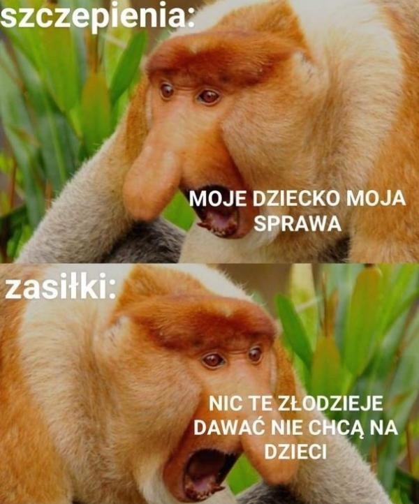 Szczepienia, moje dziecko moja sprawa. Zasiłki, nic te