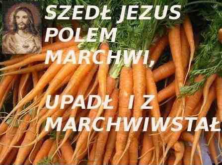 Szedł Jezus polem marchwi, upadł i zmarchwiwstał