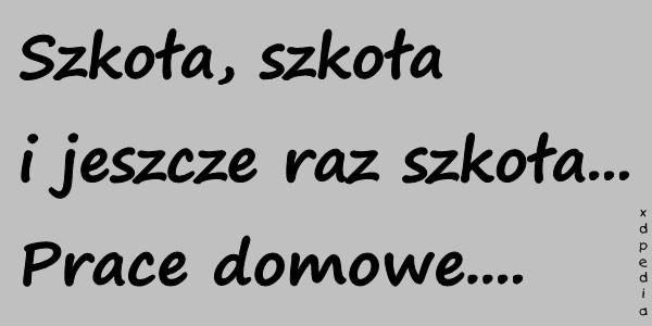 Szkoła, szkoła i jeszcze raz szkoła... Prace domowe