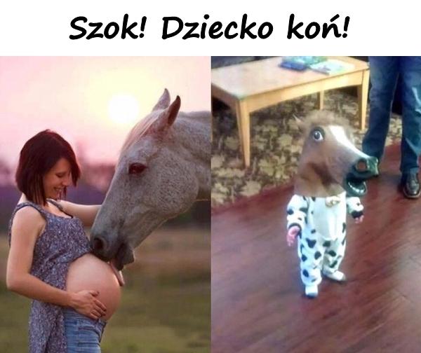 Szok! Dziecko koń