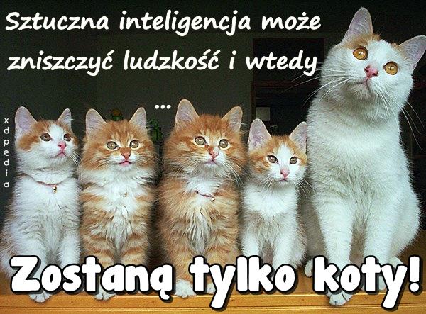 Sztuczna inteligencja może zniszczyć ludzkość i wtedy