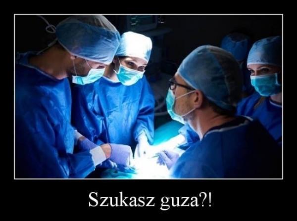 Szukasz guza