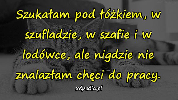 Szukałam pod łóżkiem, w szufladzie, w szafie i w lodówce