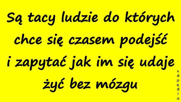 Są tacy ludzie do których chce się czasem podejść i zapytać