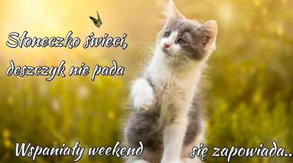 Słoneczko świeci, deszczyk nie pada spaniały weekend się