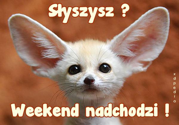 Słyszysz? Weekend nadchodzi