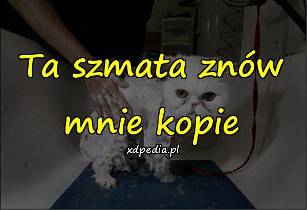 Ta szmata znów mnie kopie