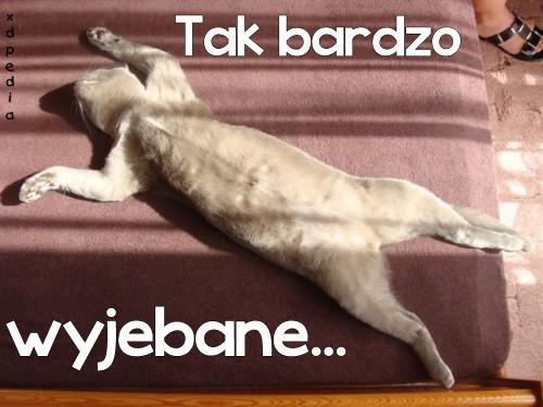 Tak bardzo wyjebane