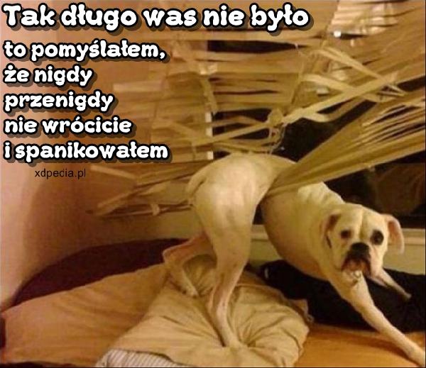 Tak długo was nie było, to pomyślałem, że nigdy przenigdy