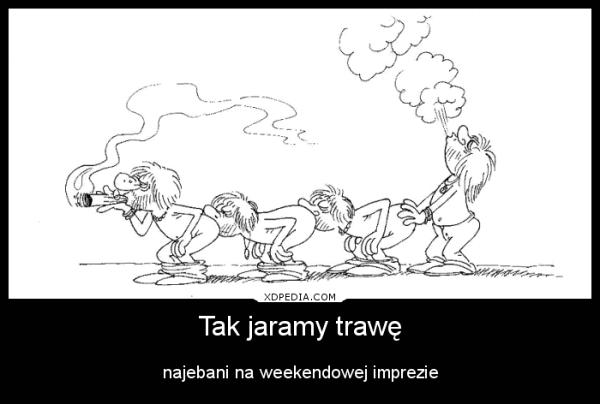 Tak jaramy trawę najebani na weekendowej imprezie