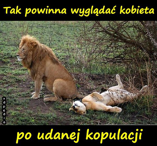 Tak powinna wyglądać kobieta po udanej kopulacji