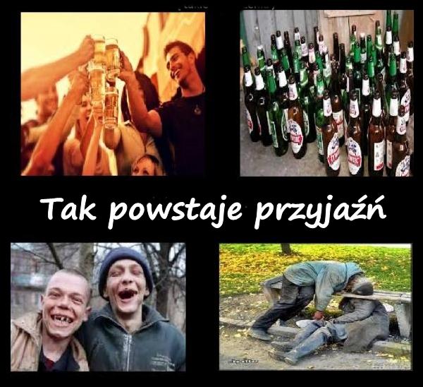 Tak powstaje przyjaźń