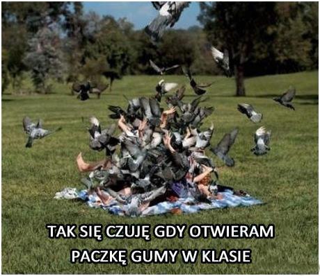 Tak się czuję gdy otwieram paczkę gumy w klasie